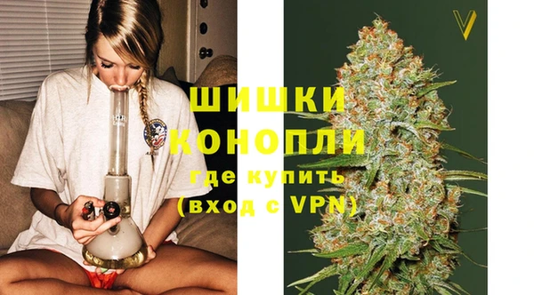 ГАЛЛЮЦИНОГЕННЫЕ ГРИБЫ Кодинск