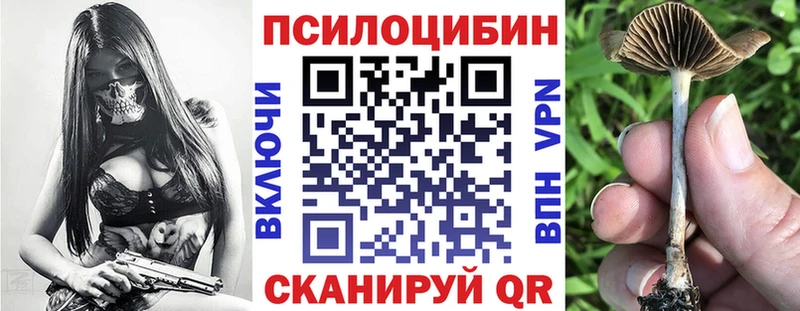 Псилоцибиновые грибы Psilocybine cubensis Елец